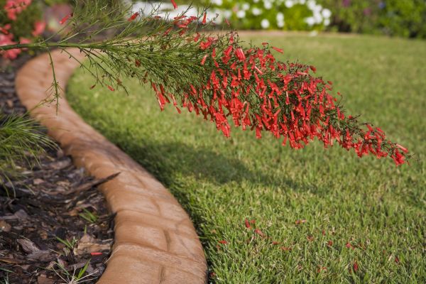 Brick Edging in Alexandria