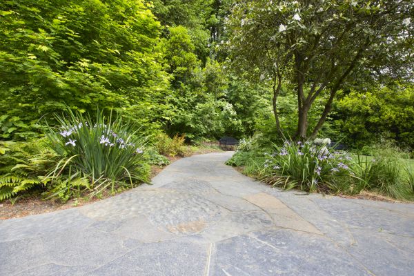 Stone Hardscape Service in Alexandria