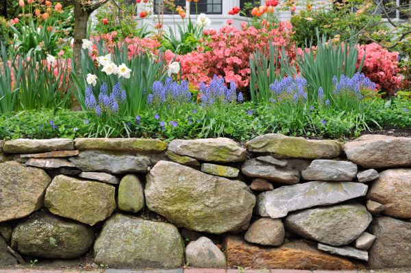 Garden Wall Installation